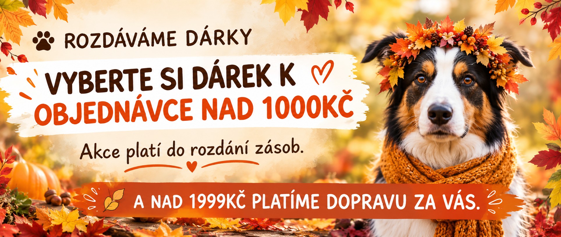 Získáte 10% slevu a skvělou psí kuchařku zdarma