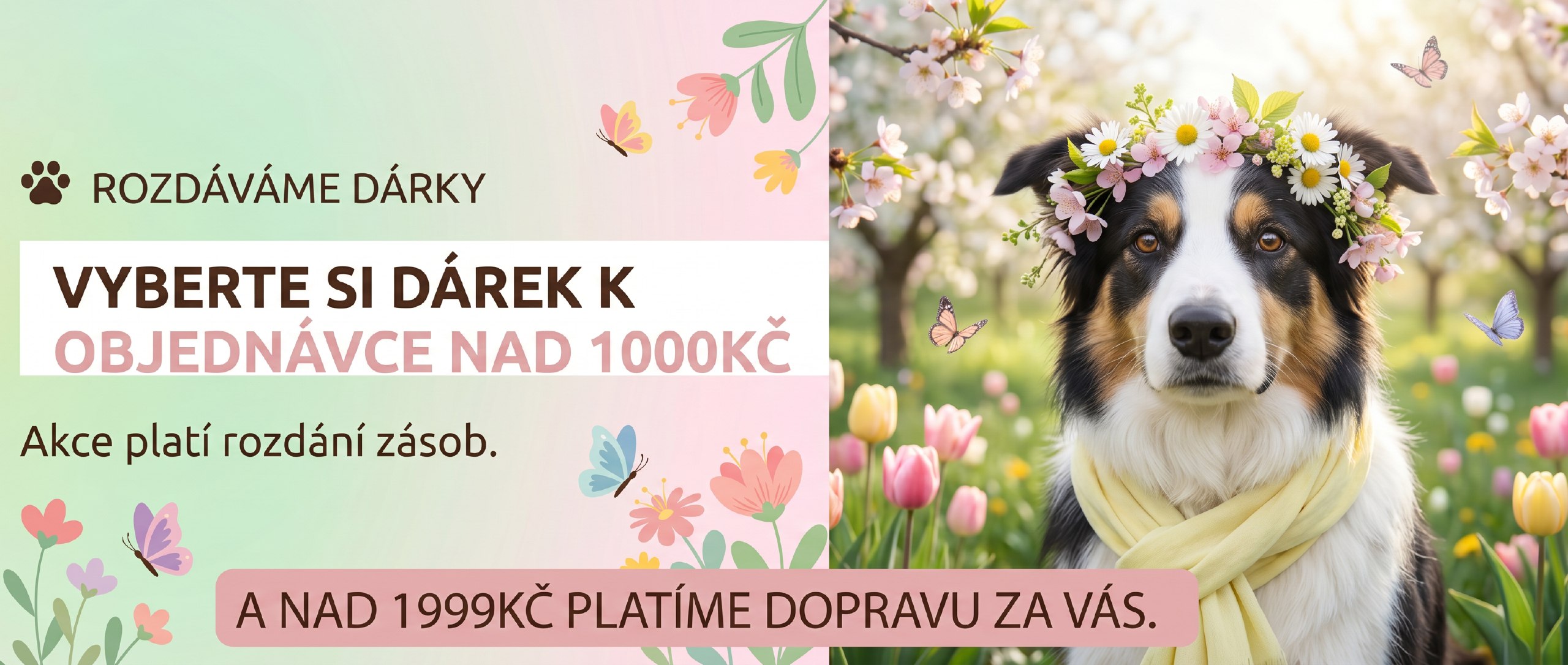 Získáte 10% slevu a skvělou psí kuchařku zdarma