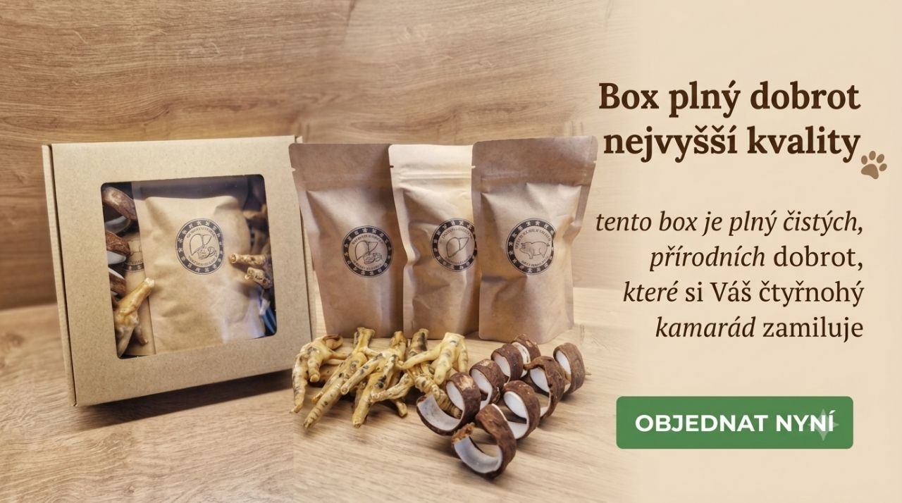 Box plný dobrot nejvyšší kvality