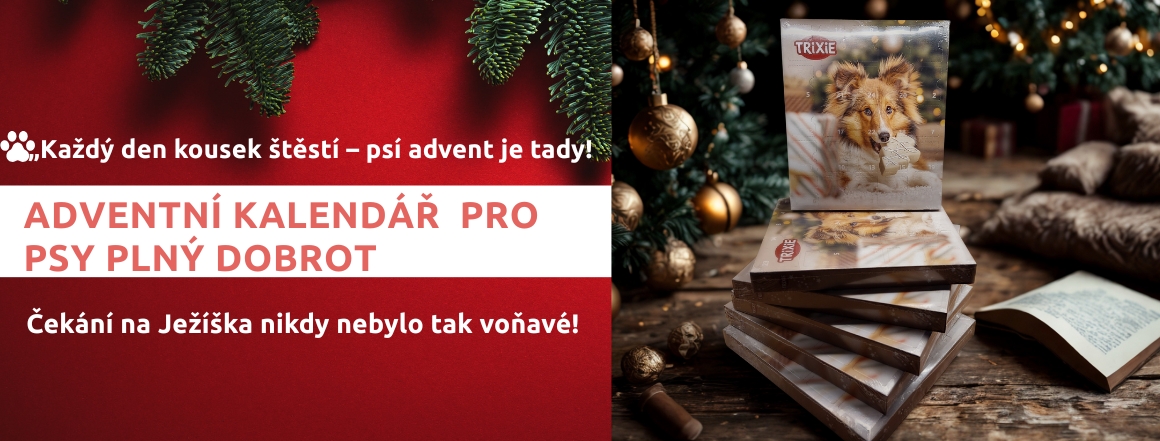 Adventní kalendář