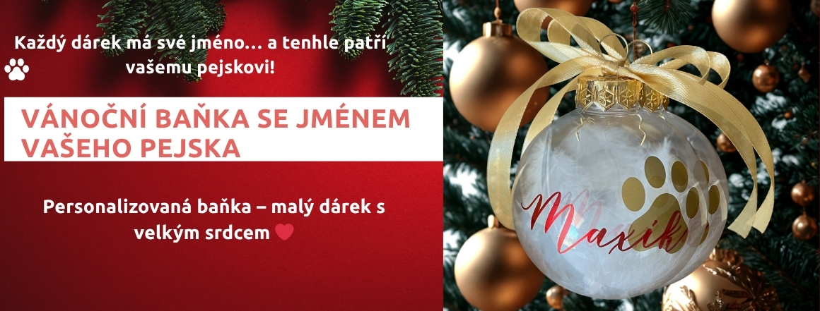 Vánoční baňka se jménem vašeho pejska