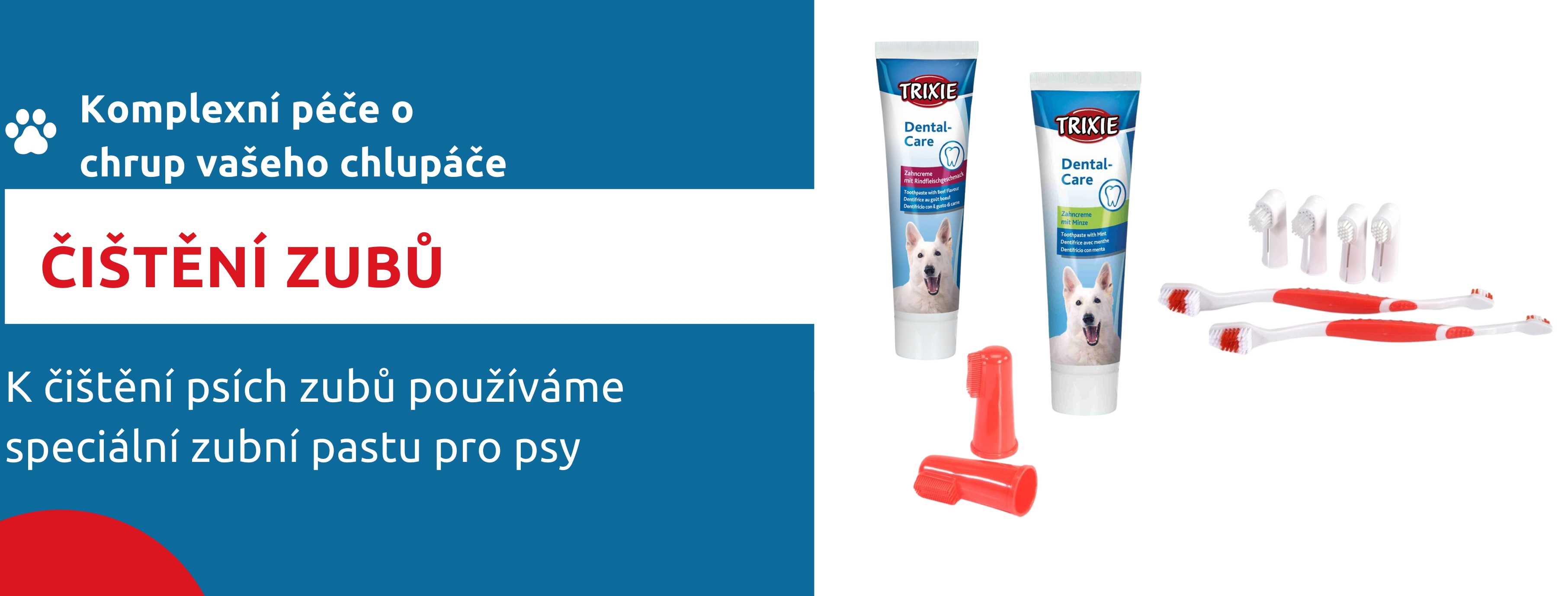 Čištění zubů