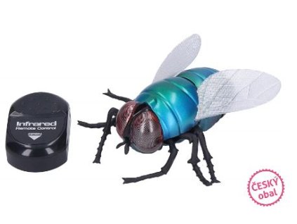 364003726 1051744855809689 3552425372611976761 n (1)