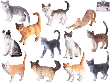 Kočka - 12 druhů