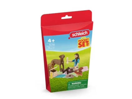 Schleich 42746 -  Piknik s Lisou, hrací sada