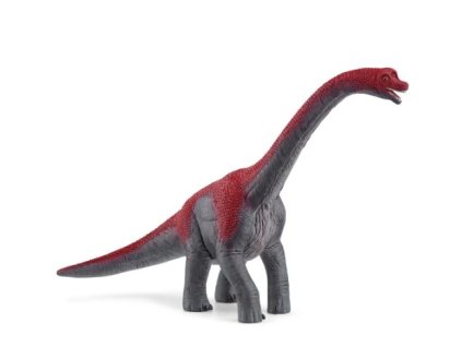 281257817 1120684671819922 4783367968913983485 n (1)