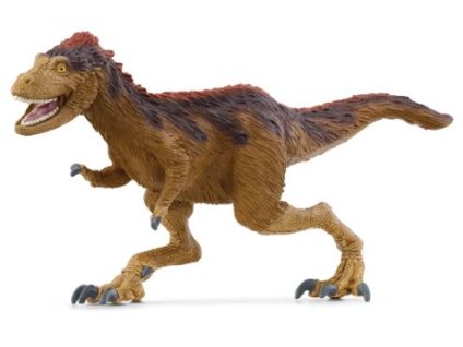 281257817 1120684671819922 4783367968913983485 n (1)