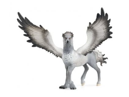 364003726 1051744855809689 3552425372611976761 n (1)