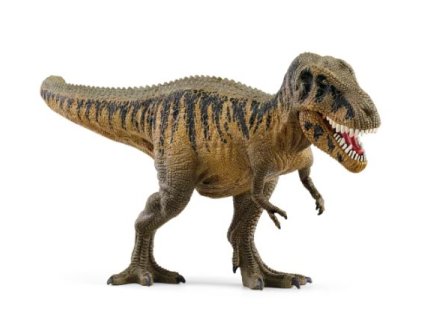 281257817 1120684671819922 4783367968913983485 n (1)