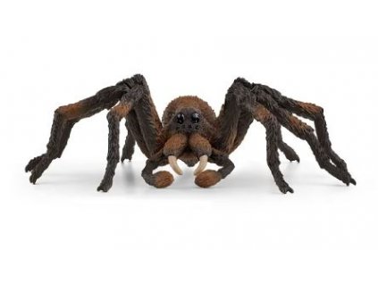 364003726 1051744855809689 3552425372611976761 n (1)