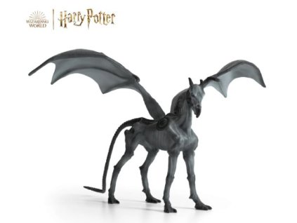 281257817 1120684671819922 4783367968913983485 n (1)