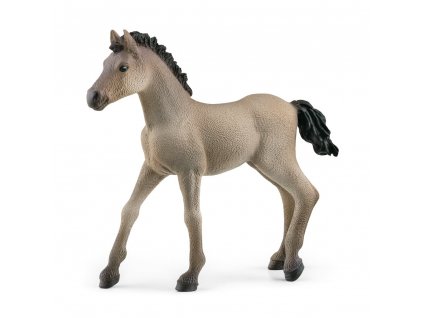 280199506 671482793957539 1584098573681328239 n