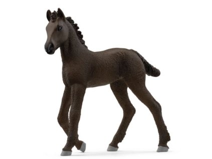 281257817 1120684671819922 4783367968913983485 n (1)