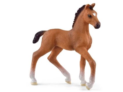 281257817 1120684671819922 4783367968913983485 n (1)