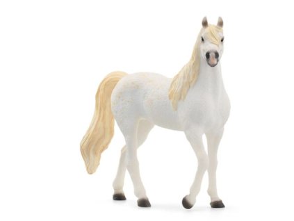 281257817 1120684671819922 4783367968913983485 n (1)