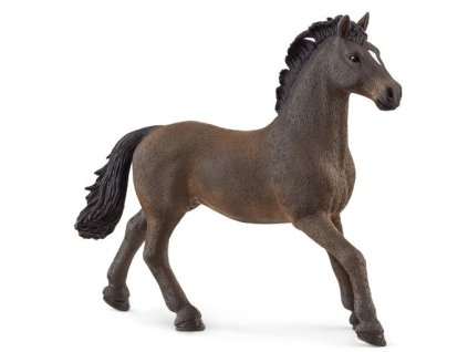 281257817 1120684671819922 4783367968913983485 n (1)