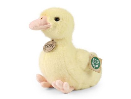 403916265 122108864984121260 4013187626564381316 n