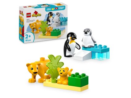 LEGO® DUPLO® 10442 Rodinky divokých zvířat: Tučňáci a lvi
