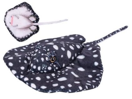 Rejnok plyšový 40cm černý 0m+