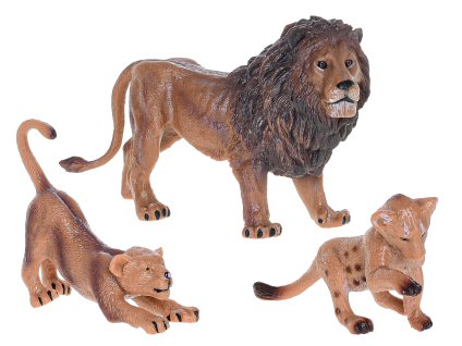 309433521 828593518349829 3242999415069524116 n