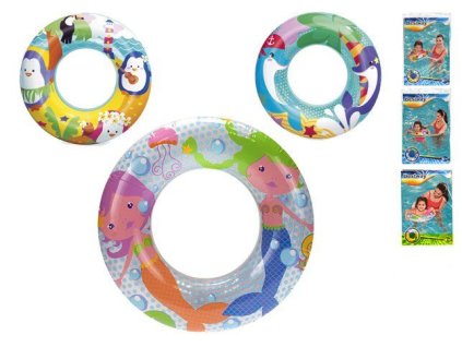 355948373 646889553999900 6402239797162361517 n