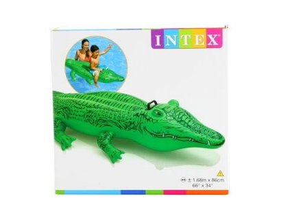 290532544 534625458409916 5399898912449387779 n