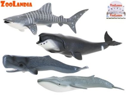 309433521 828593518349829 3242999415069524116 n