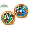 Míč 20cm Mickey Mouse 10m+ v síťce