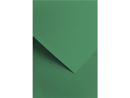 Designový papír A4 Sawanna 220 g/m² _barva_zelená_20 listů