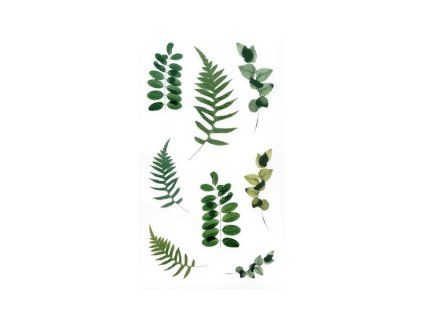 Dekorativní samolepky - Kapradí a eukalyptus,38 ks