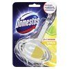 WC blok Domestos 3 v1 _citrus
