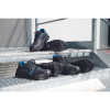 Pracovní boty RAVEN XT pro B2B nákup – CER_0202063660036