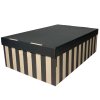 Úložná krabice BIG BOX s víkem Více rozměrů 2 ks (Rozměry 28x18x37 cm)