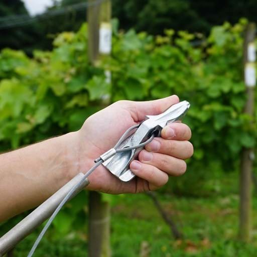 Gripple APEX - nová rada kotiev