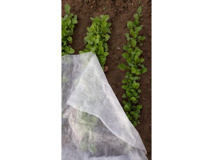 Netkaná textília zakrývacia biela 17g/m2 1,6 x 5 m