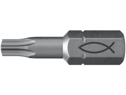 W1 P P FPB TX20 PROFI BIT W10 00557847 CGI F SALL AQQ V1