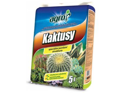 kaktus5