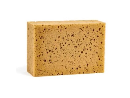 KU1684 Houba morska jemna 160 x 110 x 60 mm 0z