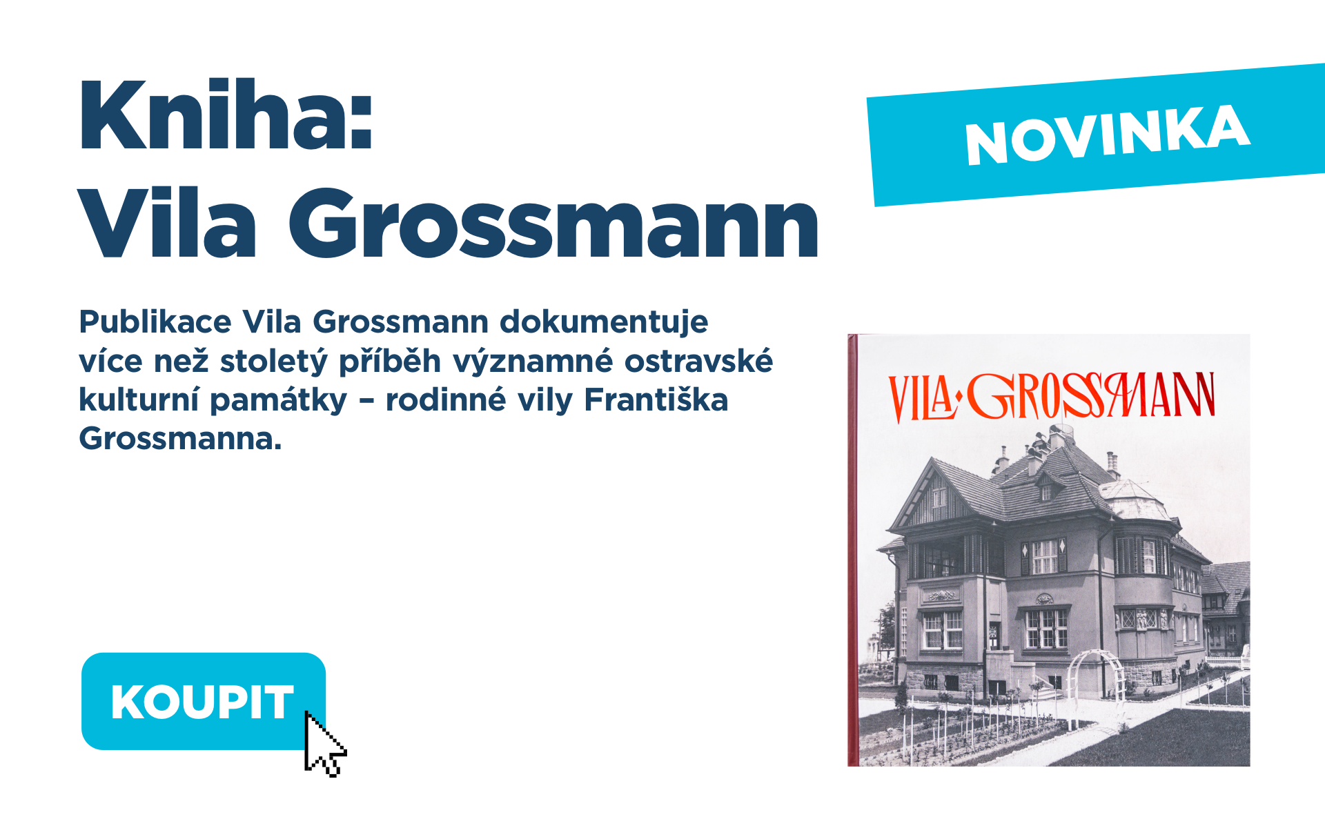 Vila Grossmann