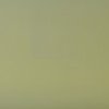Perleťově olivová