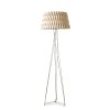 Designová stojací lampa z dřevěné dýhy Lola Floor (Barva nohy Matný BKkl, Dekor Přírodní bukové dřevo)