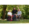 PARAPLE 26052026 MERCH WEBRESS@jankantor5