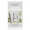 Clean Beauty Scalp Therapy Trio + Jade Comb