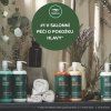 Tea Tree Hair Lotion Keravis & Lemon Sage