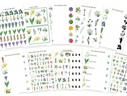 1610 jarni kvetiny pracovni listy obdelnik