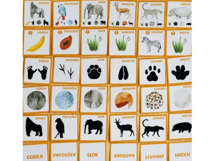 AFRIKA - 6 složkové karty (forma pdf)