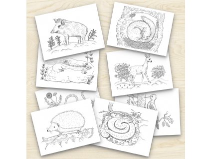 omalovanky nahled final