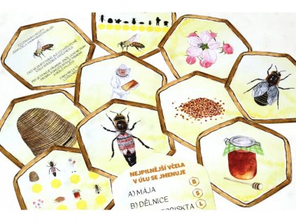 1221 vcela stezka detail obdelnik 01