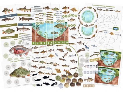 1328 1 ryby kolaz mala