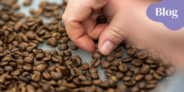 Arabika versus robusta: Jak je poznat a která vám bude lépe chutnat?